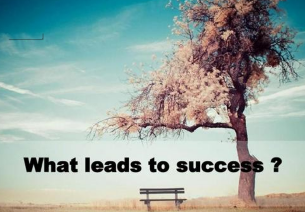 success什么意思？
