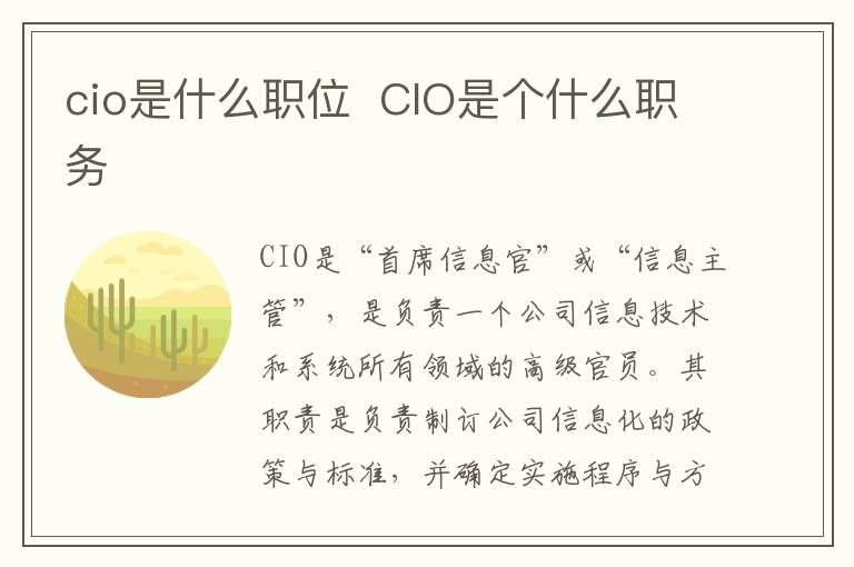 cio是什么职位  CIO是个什么职务