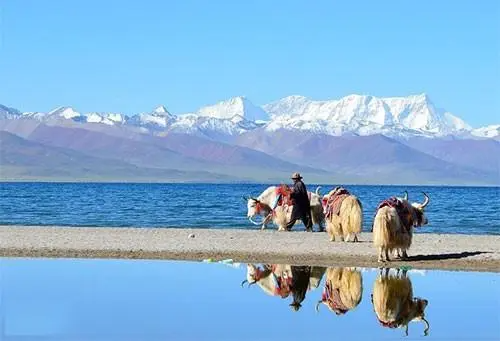 去西藏要注意什么-去西藏旅游需要注意些什么